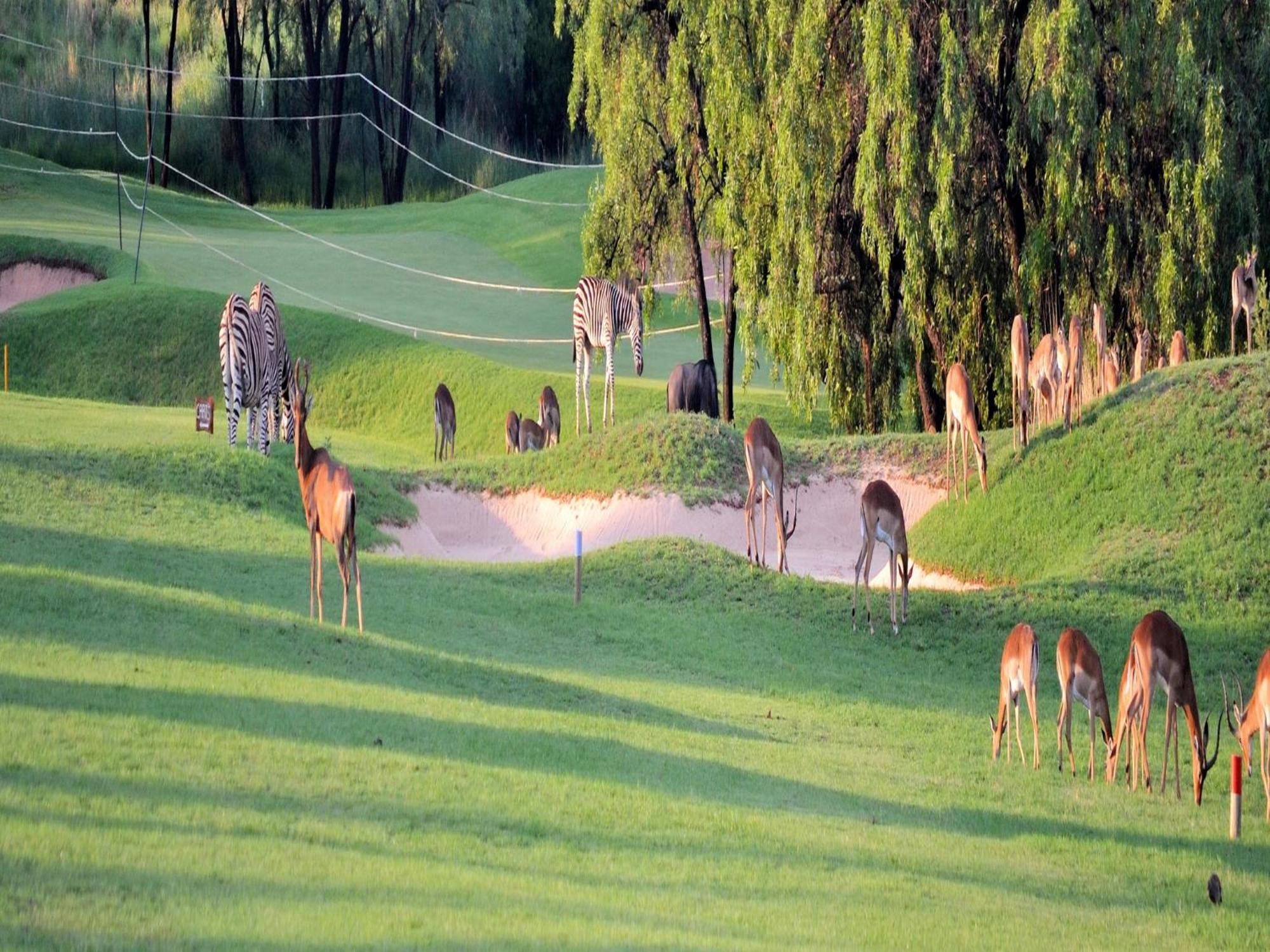 Elements Private Golf Reserve Bela-Bela Exterior photo
